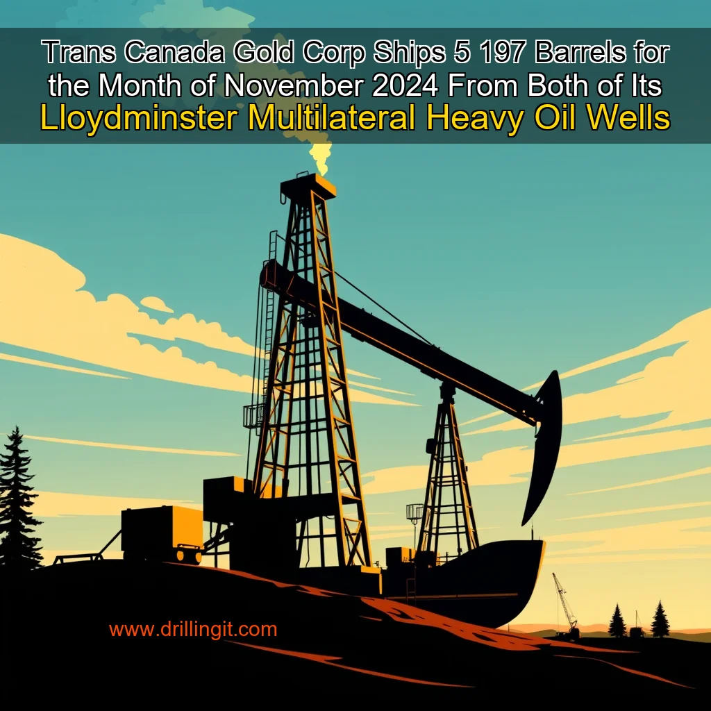 You are currently viewing Trans Canada Gold Corp  Ships 5  197 Barrels for the Month of November 2024 From Both of Its Lloydminster Multilateral Heavy Oil Wells